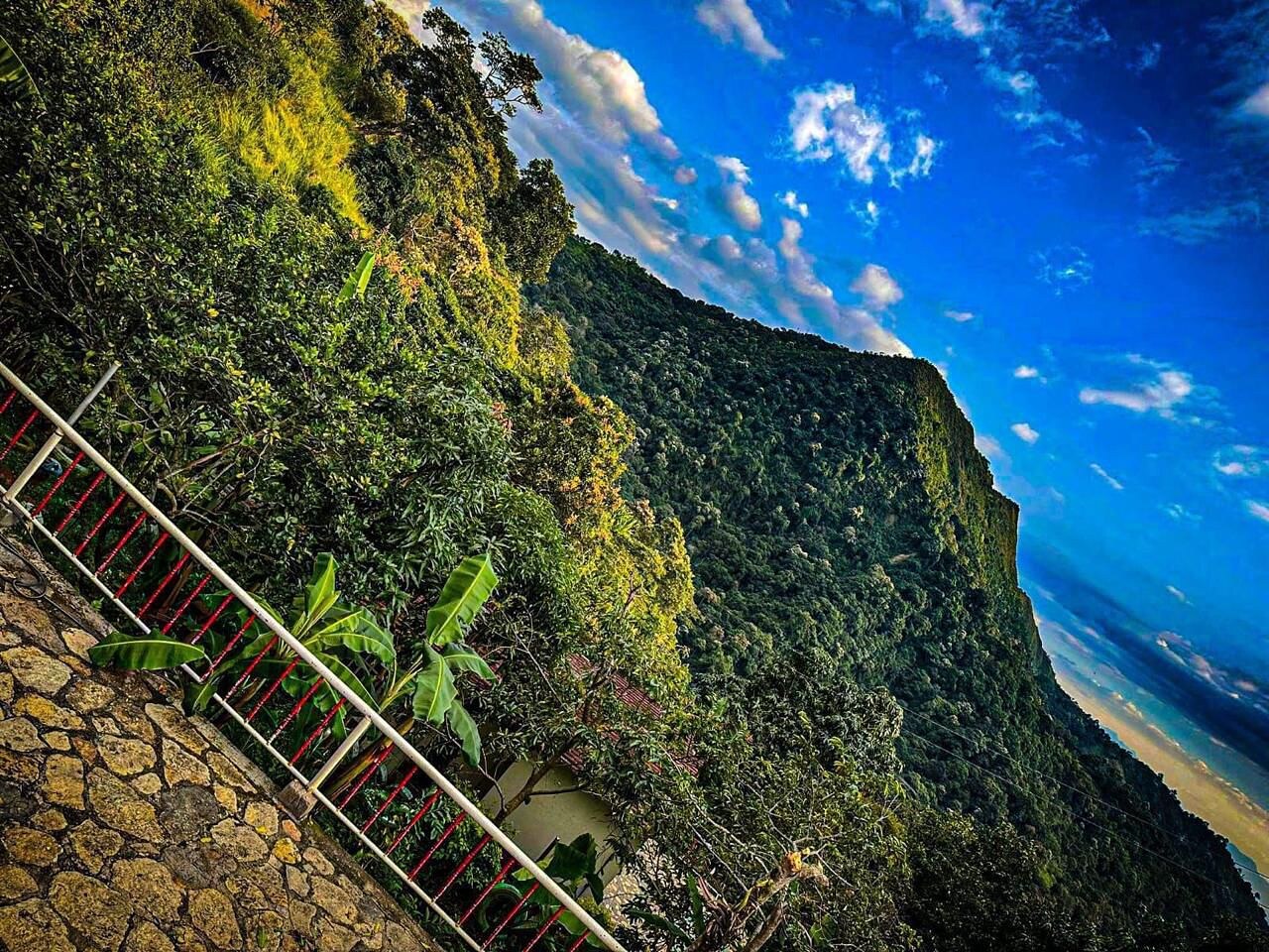 Vistas panorámicas